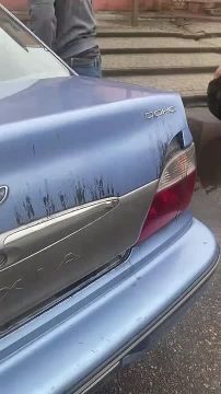 ���������. ���������� �������